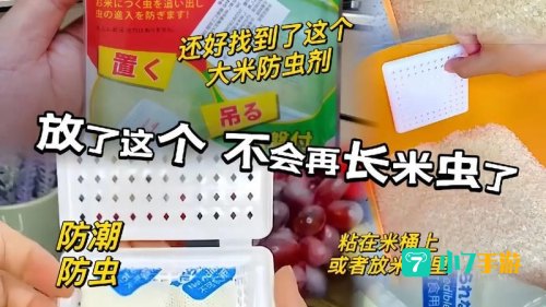 为什么密封好的大米还会长出米虫