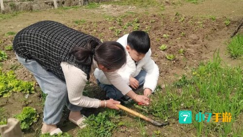 割草时闻到的青草气味其实是
