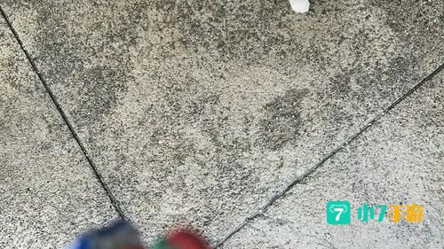 wow白猫