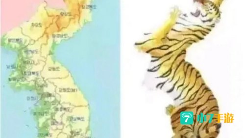 老虎地图