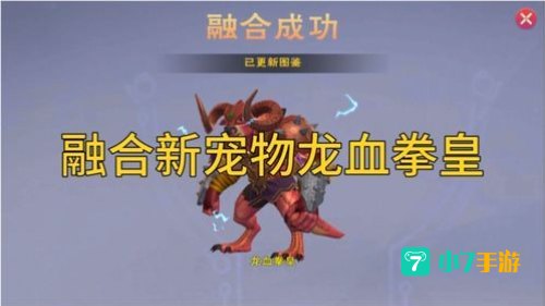 创造与魔法龙血拳皇